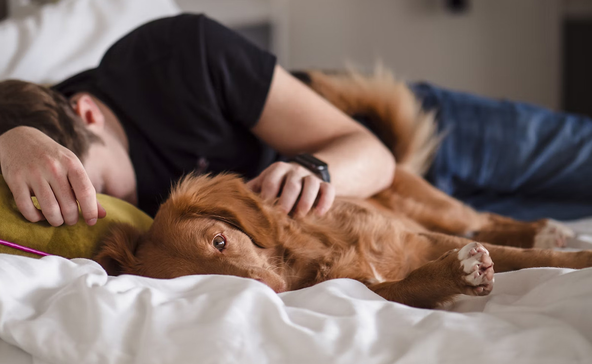 Man And Pet Diagnosed With Cancer Months Apart From Each Other