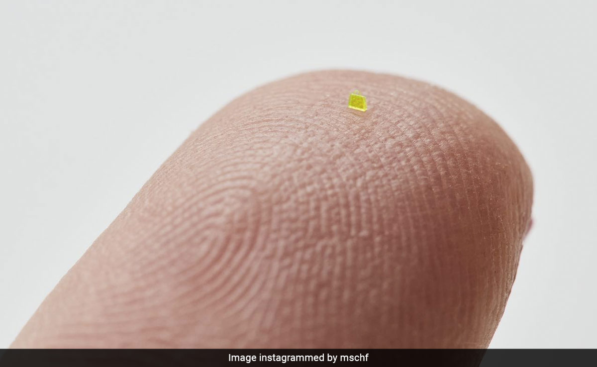 Designer Bag, Smaller Than A Grain Of Salt, Sold For Rs 51 Lakh At Auction