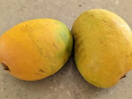 Man Receives Two Mangoes As Gift From House Help, The Reason Will Melt Your Heart