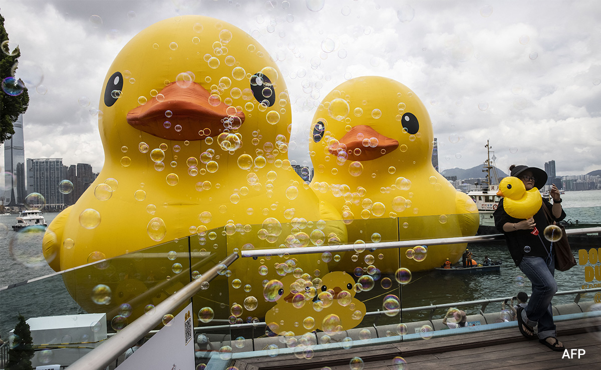 In Pics: Hong Kong's Giant Rubber Duck Deflated Due To Intense Heat