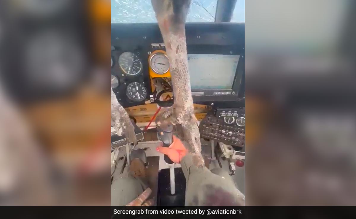 Video Shows Pilot Covered In Blood After Bird Smashes Through Windscreen