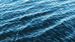 Flesh-Eating Bacteria In Warming Waters: How To Protect Yourself
