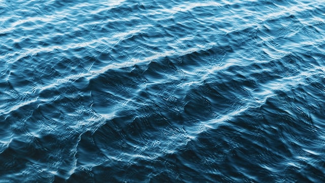 Warming waters have increased the threat of flesh-eating bacteria