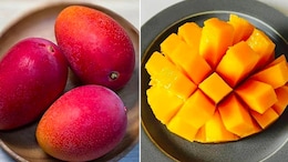 Did You Know? Most Expensive Miyazaki Mangoes Will Also Be Grown In Tripura