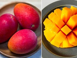 Did You Know? Most Expensive Miyazaki Mangoes Will Also Be Grown In Tripura