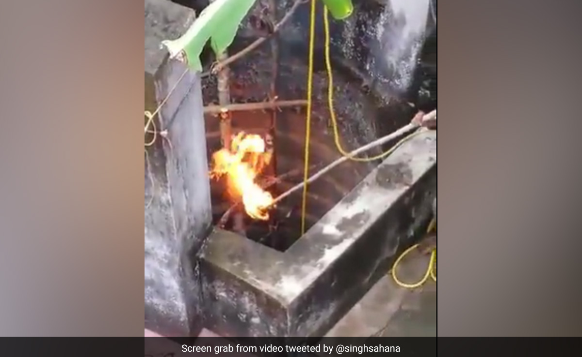 कुएं में गिर गया था तेंदुआ, निकालने के लिए लोगों ने आग लगाकर किया 'जुगाड़', रेस्क्यू Video देख हैरत में पड़े लोग