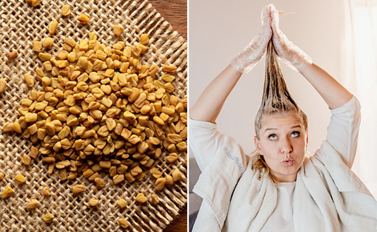 बालों मे मेथी का इस तरह से लगाएंगी तो बाल होंगे लंबे, घने और झड़ने की परेशानी हो जाएगी गायब