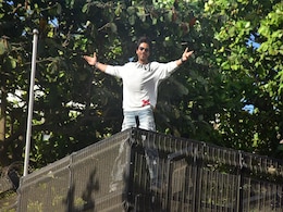 मन्नत के बाहर खड़े 300 फैंस को शाहरुख खान का तोहफा, आइकॉनिक पोज और किंग खान की क्यूट स्माइल PICS पर दे बैठेंगे दिल  मन्नत के बाहर खड़े 300 फैंस को शाहरुख खान का तोहफा, आइकॉनिक पोज और किंग खान की क्यूट स्माइल PICS पर दे बैठेंगे दिल