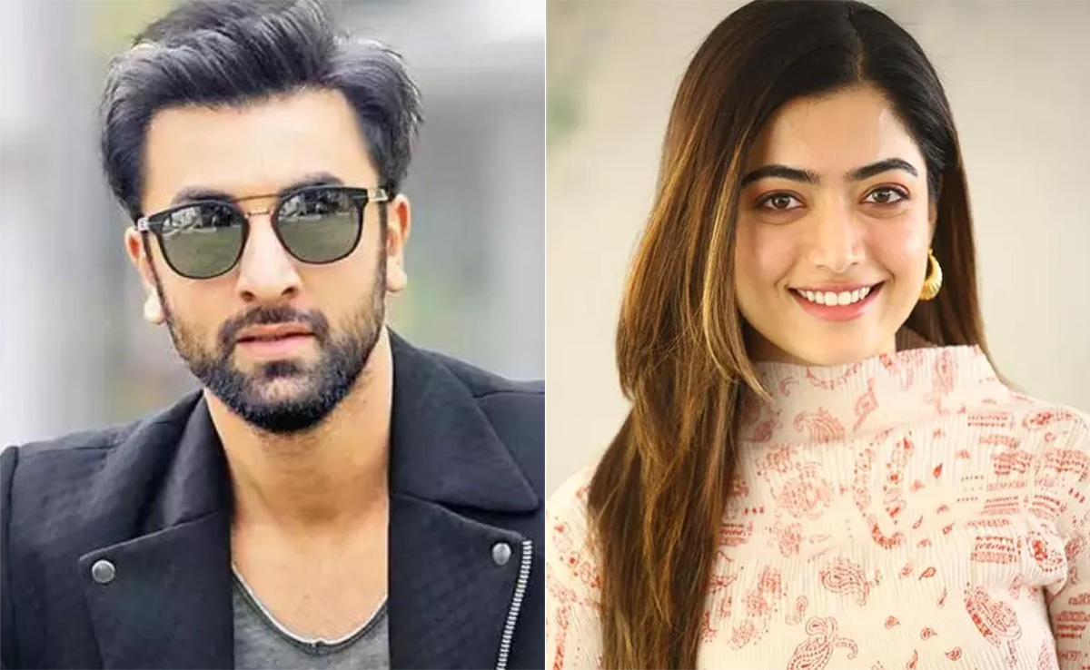 रणबीर कपूर ने एनिमल के लिए ली सबसे ज्यादा फीस, रश्मिका मंदाना, अनिल कपूर, बॉबी देओल भी नहीं रहे पीछे