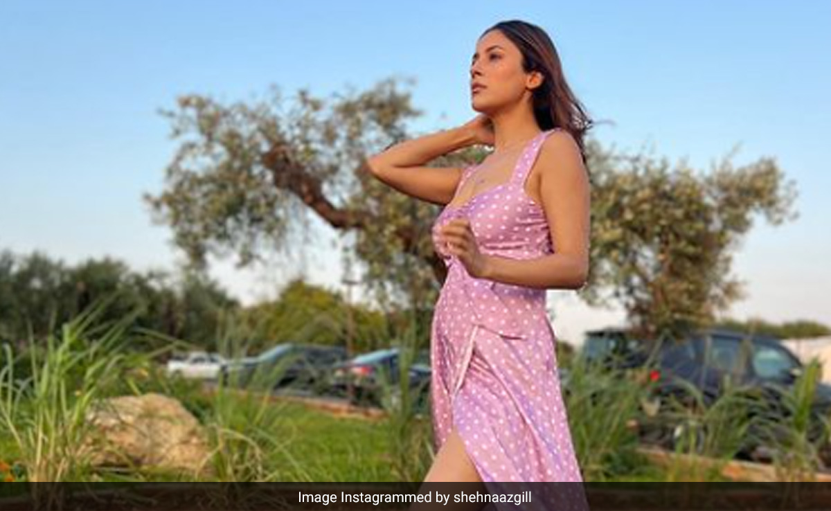 More Postcard-Worthy Pics From Shehnaaz Gill's Sicily Holiday