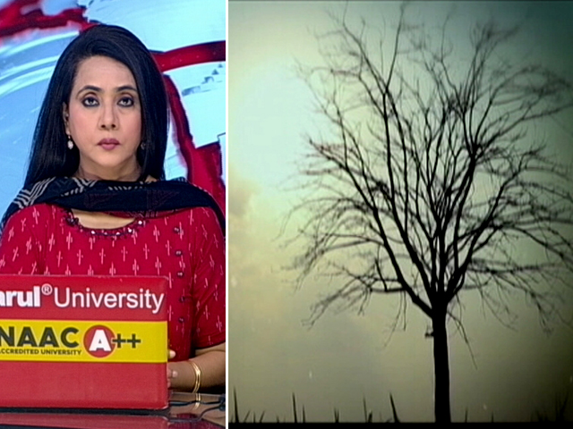 World Environment Day: पर्यावरण पर खतरा सबसे बड़ी चुनौती