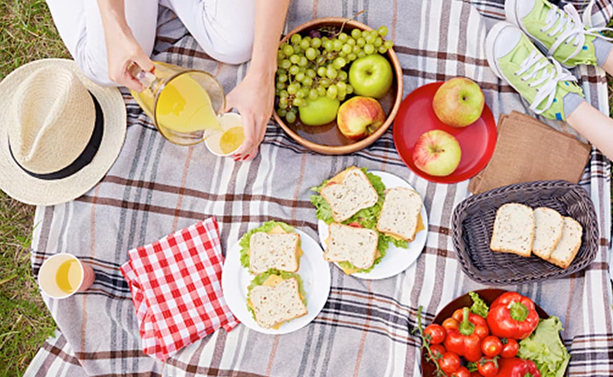 दिल्ली की सर्दी और Winter Outing, कहां जाएं घूमने? जानें बेस्ट पिकनिक स्पॉट