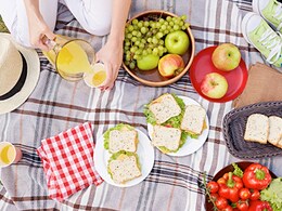 दिल्ली की सर्दी और Winter Outing, कहां जाएं घूमने? जानें बेस्ट पिकनिक स्पॉट