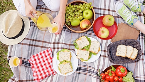 दिल्ली की सर्दी और Winter Outing, कहां जाएं घूमने? जानें बेस्ट पिकनिक स्पॉट