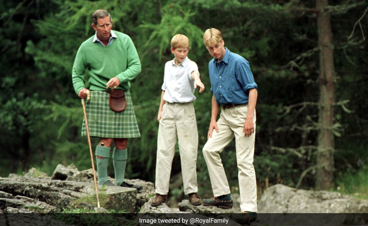 King Charles Shares Throwback Pic With Prince Harry, Prince William In Heartwarming Father's Day Post
