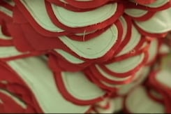 Each EcoFemme Pad Brought Sponsors One For An Underprivileged Girl Each EcoFemme Pad Brought Sponsors One For An Underprivileged Girl