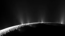 Here's Why Saturn's Icy Moon Enceladus Is Prime Target In Search For Life