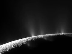 Here's Why Saturn's Icy Moon Enceladus Is Prime Target In Search For Life
