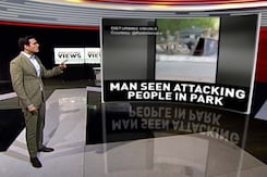 May Become Motivation For Political Attacks: Journalist On France Knife Attack May Become Motivation For Political Attacks: Journalist On France Knife Attack