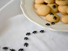 How To Get Rid Of Ants: 8 Home Remedies That Do The Trick How To Get Rid Of Ants: 8 Home Remedies That Do The Trick