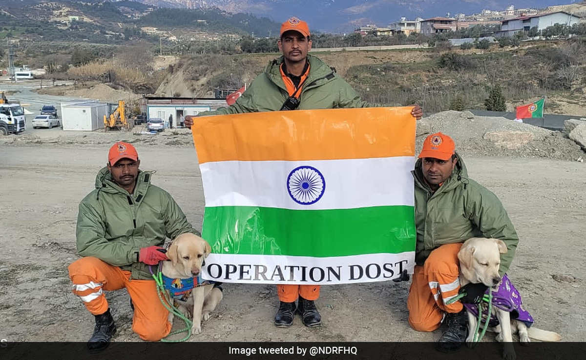 Rescue Dog Who Sniffed Out 6-Year-Old Girl In Quake-Hit Turkey Awarded Rescue Dog Who Sniffed Out 6-Year-Old Girl In Quake-Hit Turkey Awarded