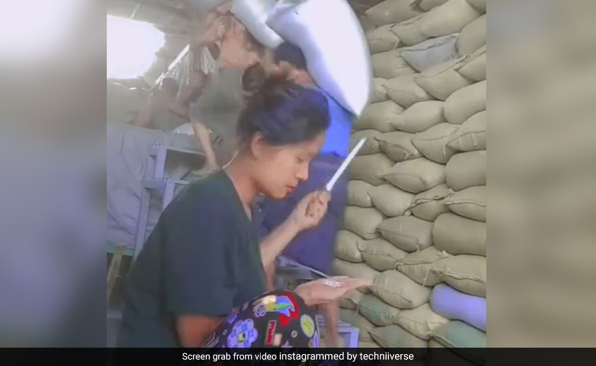Viral Video Shows Superfast "Quality Inspection" Of Rice Sacks By A Woman