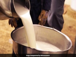 रिसर्च में आया इस स्पेशल गाय के दूध से डायबिटीज हो जाएगी पूरी तरह सही, इसमें है खास इंसुलिन रिसर्च में आया इस स्पेशल गाय के दूध से डायबिटीज हो जाएगी पूरी तरह सही, इसमें है खास इंसुलिन