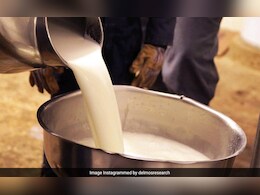 दूध उत्पादक शेतकऱ्यांना झटका, दूध खरेदी दरात मोठी कपात