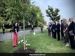 Ahead Of PM Modi's Visit, UN Dedicates Tree To Honour 26/11 Attack Victims Ahead Of PM Modi's Visit, UN Dedicates Tree To Honour 26/11 Attack Victims