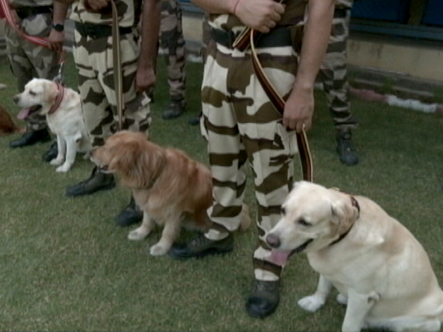 CISF जवानों के साथ कंधे से कंधा मिलाकर काम कर रहे खोजी कुत्ते, इनसे बच पाना है नामुमकिन