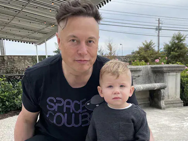 Elon Musk's Son Asks If There Are 'Police Cats', Delhi Police Responds