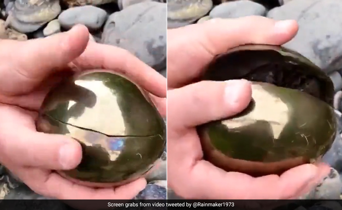 ये गोल्डन बॉल कोई सजावटी सामान नहीं, बल्कि हजारों साल पुराना है इसका इतिहास, जानकर चौंक जाएंगे आप