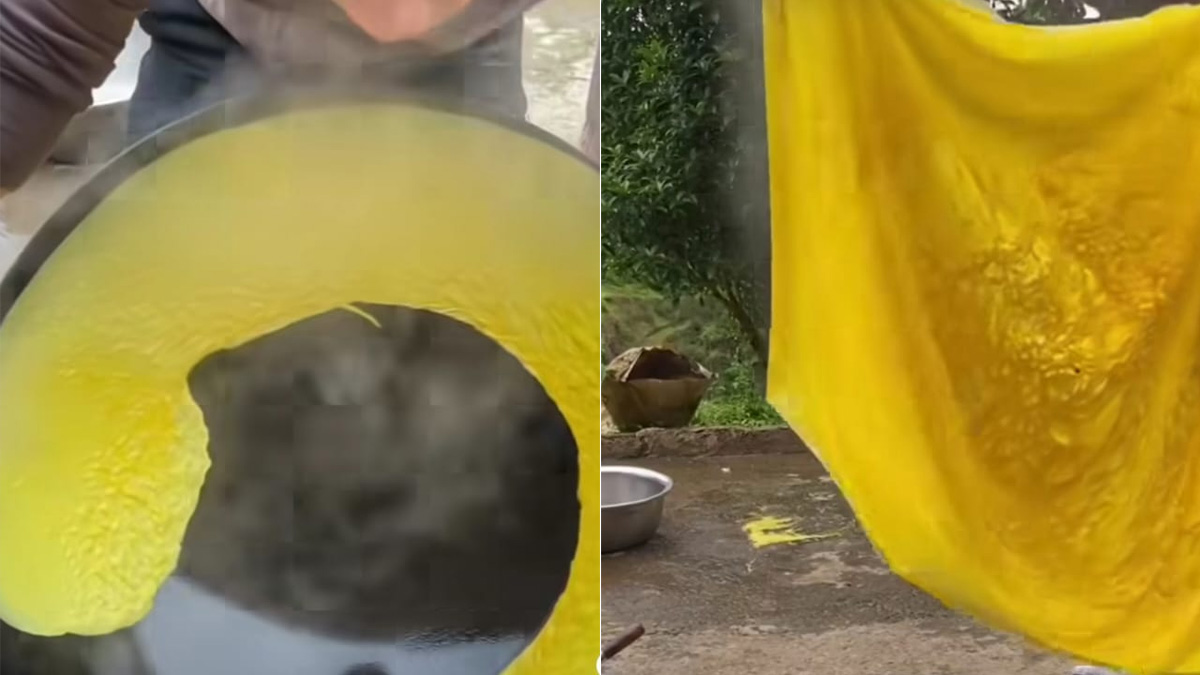 "Paper Omelette Like Paper Dosa" - Video Showing 'Egg Blanket' Goes Viral
