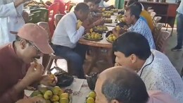 Watch: Video Of Mango Eating Contest In Bihar Intrigues Internet