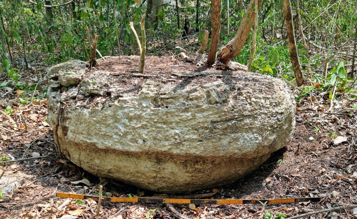 Ancient Mayan City With "Pyramid-Like Buildings" Found Deep In Mexican Forest