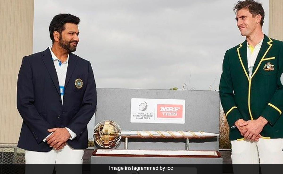 Watch: Cricket Australia Shares Result Predicted By Artificial Intelligence For WTC Final