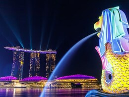 Company Supplying Indian Food In Singapore Fined After Cockroaches Found On Premises Company Supplying Indian Food In Singapore Fined After Cockroaches Found On Premises