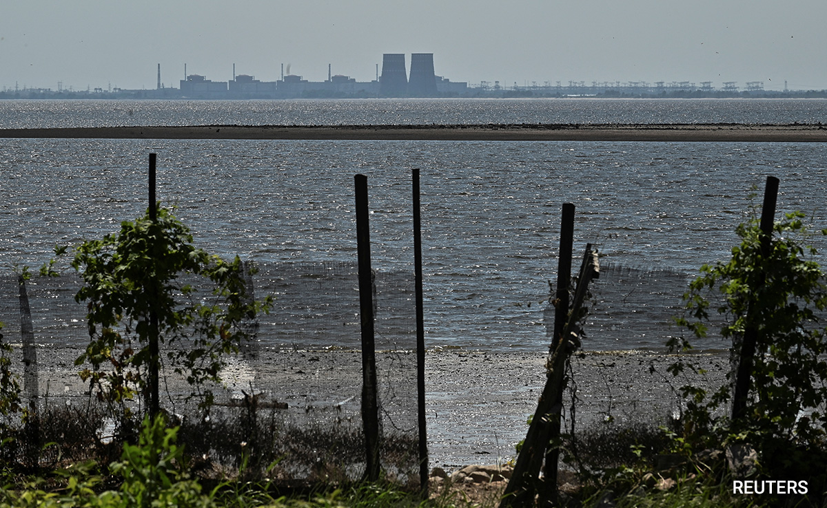 Concerning Water Levels At Ukraine's Nuclear Plant: UN Watchdog
