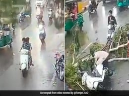 राह चलते स्कूटी सवार लड़कों पर गिरा पेड़, वीडियो देख लोगों रह गए हक्के बक्के राह चलते स्कूटी सवार लड़कों पर गिरा पेड़, वीडियो देख लोगों रह गए हक्के बक्के