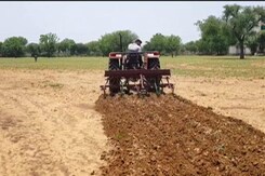 Cyclone Biparjoy Brings Relief For Farmers In Rajasthan Cyclone Biparjoy Brings Relief For Farmers In Rajasthan