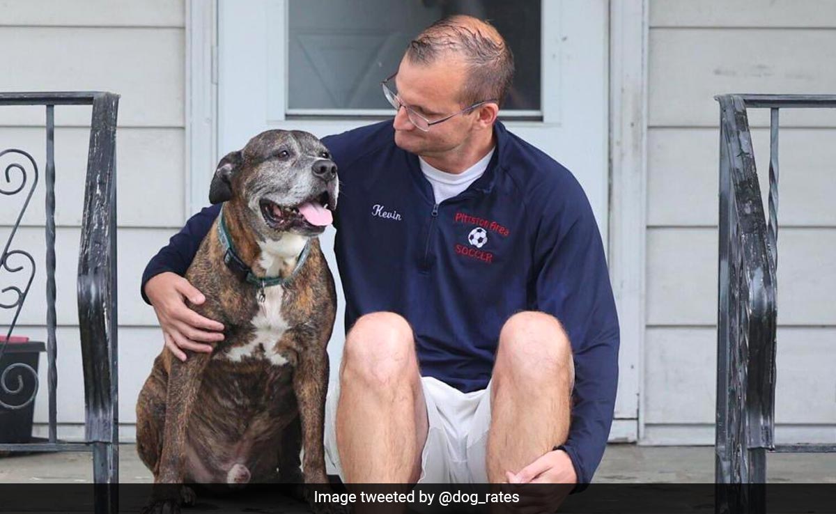 US Town Gives Final Farewell To Dog Fighting Cancer By Turning Up For Its Last Walk