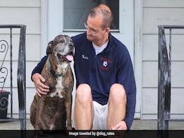 US Town Gives Final Farewell To Dog Fighting Cancer By Turning Up For Its Last Walk US Town Gives Final Farewell To Dog Fighting Cancer By Turning Up For Its Last Walk