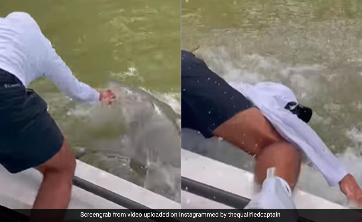 Terrifying Video Shows Shark Biting Man's Hand And Dragging Him Into The Water