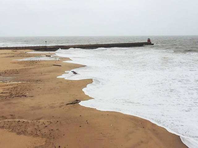 Cyclone Biparjoy: Over 40,000 People Shifted From Gujarat Coastal Areas