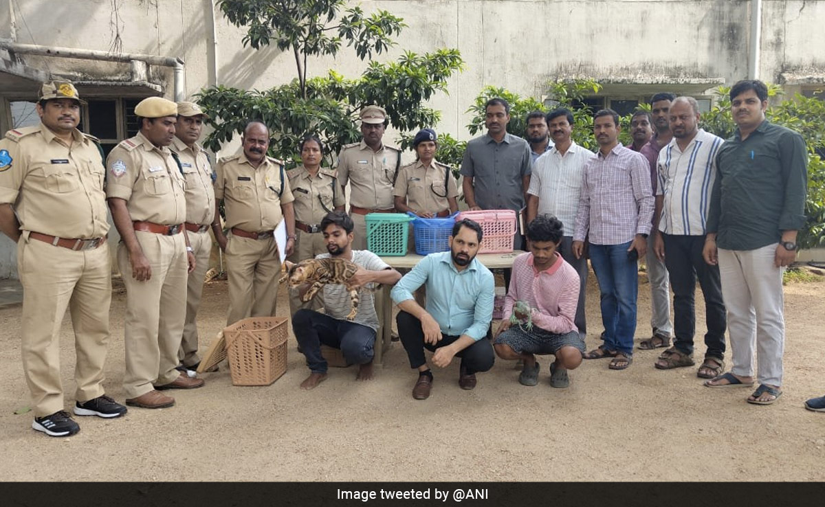 Exotic Animals Displayed At Hyderabad Pub Rescued, Owner Among 7 Arrested: Cops