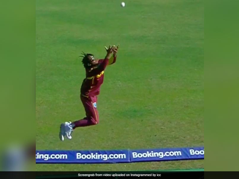 Watch: West Indies Star's Smart Boundary Line Catch In ICC World Cup Qualifiers 2023