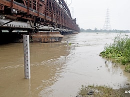 Ganga And Munak Water To Be Diverted To Revive Yamuna River