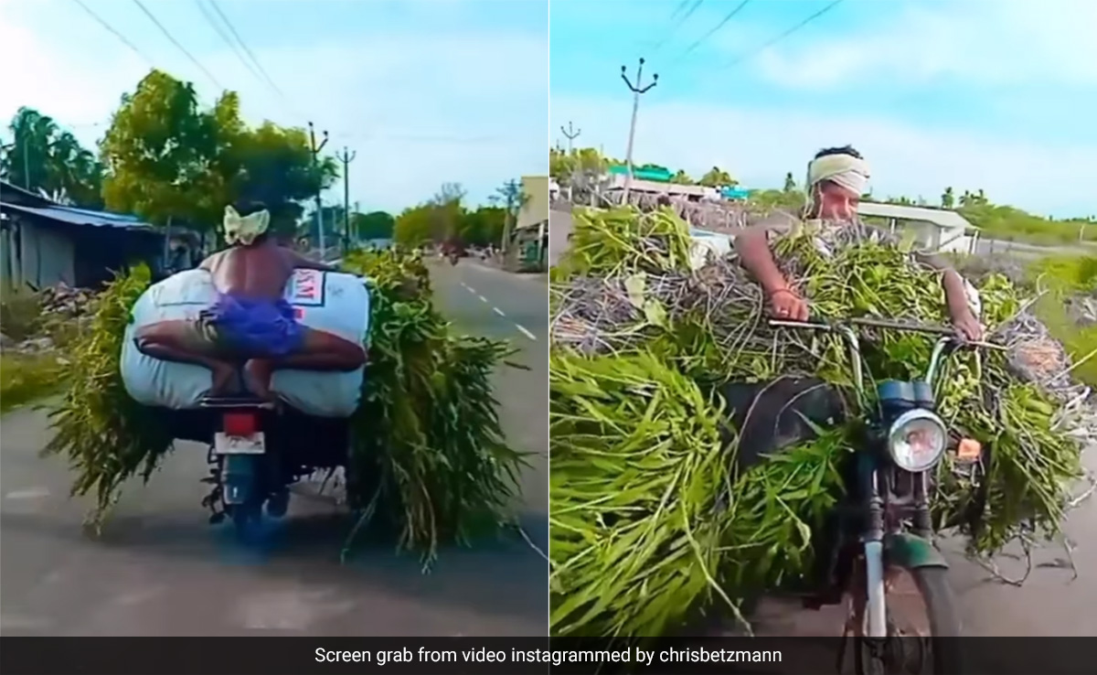 दो पहिये पर ले आया ट्रॉली भर पशुओं का चारा, वीडियो देख लोगों का फूटा गुस्सा