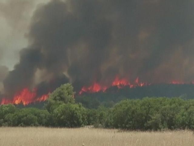 ग्रीस ने जंगलों में लगी आग से निपटने के लिए अन्य देशों से मांगी मदद