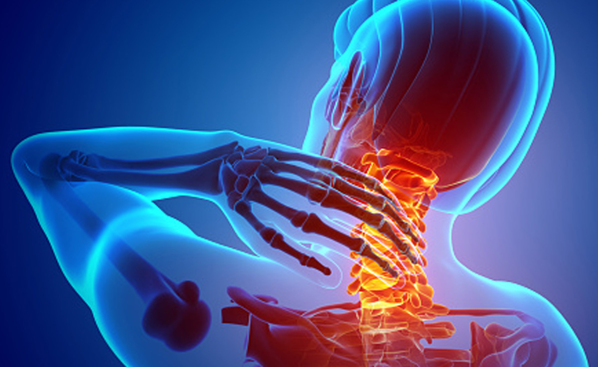 शरीर में कैल्शियम की हो गई है कमी, हड्डियों में रहता है दर्द, तो इन 5 चीजों को डाइट में कर लीजिए शामिल 